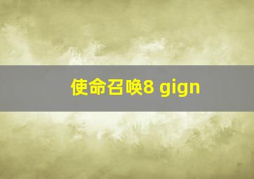 使命召唤8 gign